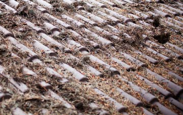 Gedling roof cleaning companies