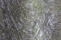 Gedling fibreglass roof work